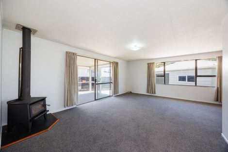 Photo of property in 132 Stanford Street North, Ashhurst, 4810