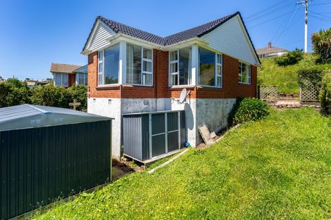 Photo of property in 20 Panmure Avenue, Calton Hill, Dunedin, 9012