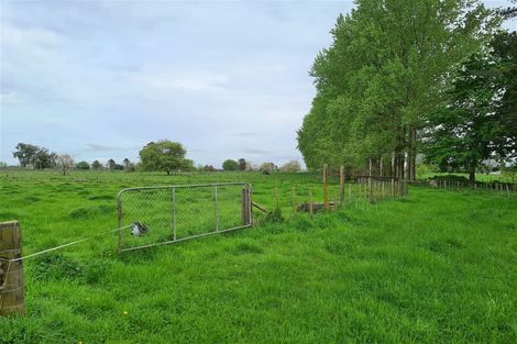 Photo of property in 53 Marychurch Road, Pukemoremore, Cambridge, 3493