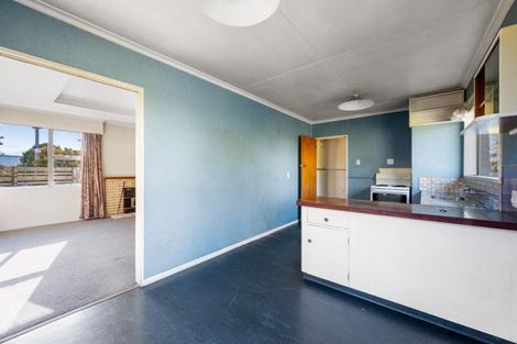 Photo of property in 117 Totara Terrace, Wanaka, 9305