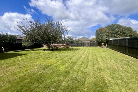 Photo of property in 249 Rutherford Street, Te Awamutu, 3800