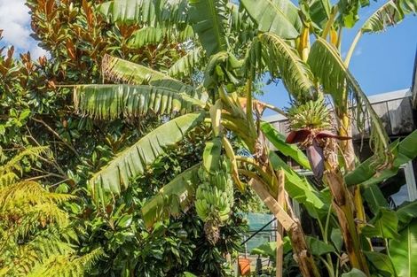 Photo of property in 11 O'leary Road, Pokeno, 2471