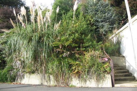 Photo of property in 128 Evans Street, Opoho, Dunedin, 9010