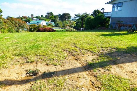 Photo of property in 87 Davies Drive, Kawhia, 3889