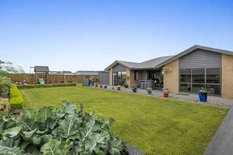 Photo of property in 12 Nikau Place, Hawera, 4610