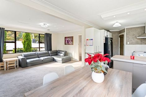 Photo of property in 17 Colquhoun Street, Glenross, Dunedin, 9011