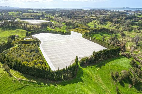 Photo of property in 231 Walford Road, Aongatete, Katikati, 3181