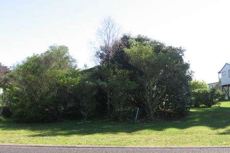 Photo of property in 40 Oyster Drive, Cooks Beach, Whitianga, 3591