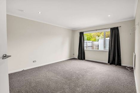Photo of property in 14a Duna Place, Takaro, Palmerston North, 4412