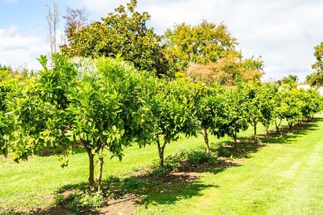 Photo of property in 70 Norris Road, Maungatapere, Whangarei, 0179