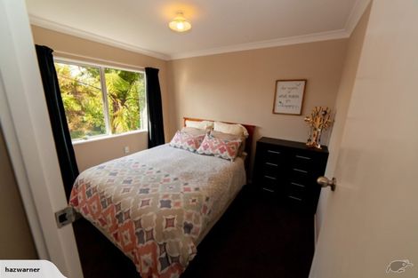 Photo of property in 45 Seyton Street, Stratford, 4332