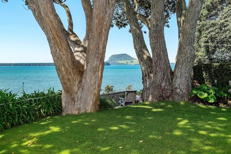 Photo of property in 41 Woods Avenue, Matua, Tauranga, 3110