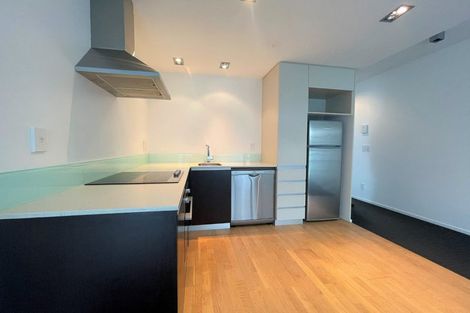 Photo of property in Revolucion Apartments, 301n/28 Torrens Terrace, Mount Cook, Wellington, 6011