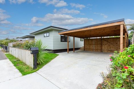 Photo of property in 17 Hall Street, Woodville, 4920