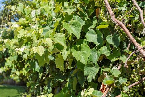 Photo of property in 25 Madeleine Terrace, Papamoa Beach, Papamoa, 3118