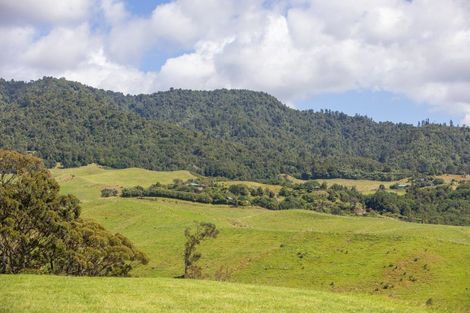 Photo of property in 250 Busby Road, Tahawai, 3170