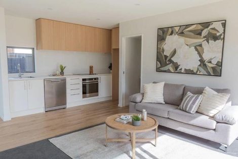 Photo of property in 57b Frankleigh Street, Somerfield, Christchurch, 8024