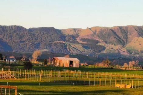 Photo of property in 14 Nikau Place, Matamata, 3400