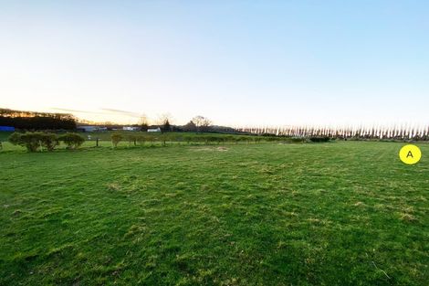 Photo of property in 139 Waimumu Road, Waimumu, Gore, 9774