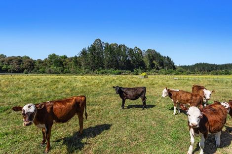 Photo of property in 2752 State Highway 30, Rotoma, Whakatane, 3192