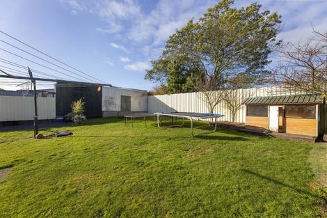 Photo of property in 16 Springfield Street, Balclutha, 9230