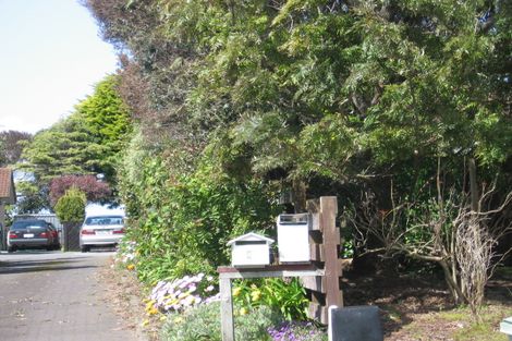 Photo of property in 40 Sunrise Avenue, Mount Maunganui, 3116