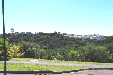 Photo of property in 45 Kate Sheppard Avenue, Torbay, Auckland, 0630