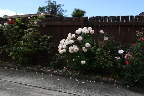 Photo of property in 76 Eivers Road, Whakatane, 3120