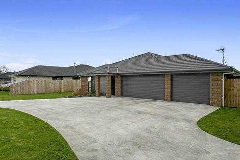 Photo of property in 5 Moroney Place, Matamata, 3400
