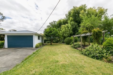 Photo of property in 21 Tanner Street, Havelock North, 4130