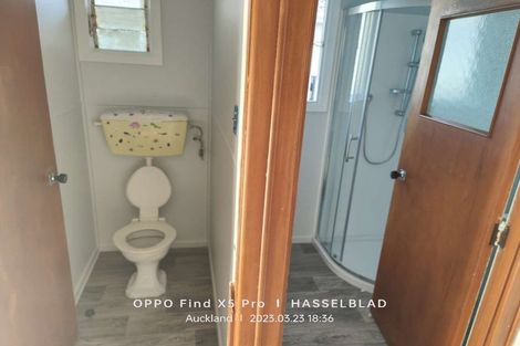 Photo of property in 38 Kervil Avenue, Te Atatu Peninsula, Auckland, 0610