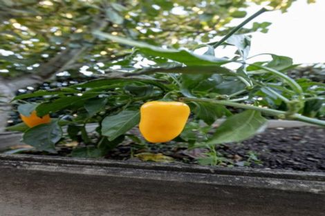 Photo of property in Waterview Estate, 70/4 Greystone Place, Omokoroa, 3114