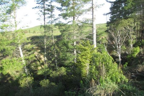 Photo of property in 258 Maunga Road, Dannevirke, 4976