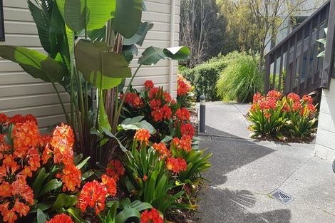 Photo of property in 8b Schnapper Rock Road, Schnapper Rock, Auckland, 0632