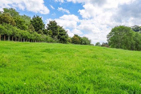 Photo of property in 299 Haruru Road, Kaukapakapa, 0873