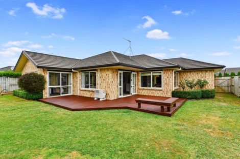 Photo of property in 17 Kentwood Place, Flagstaff, Hamilton, 3210