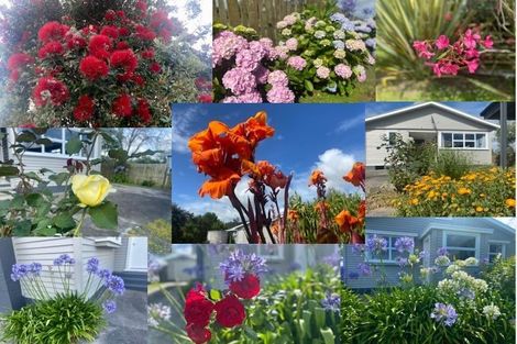 Photo of property in 76 Jellicoe Road, Ruawai, 0530