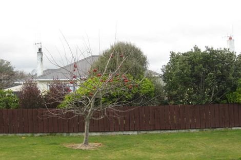 Photo of property in 9 Clark Street, Levin, 5510