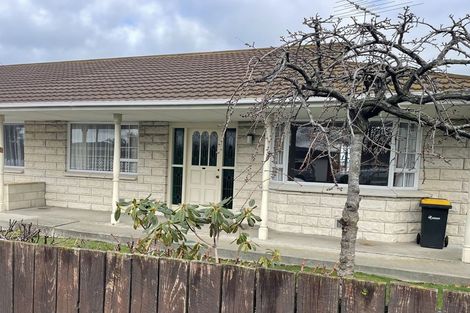Photo of property in 161b Eglinton Road, Mornington, Dunedin, 9011