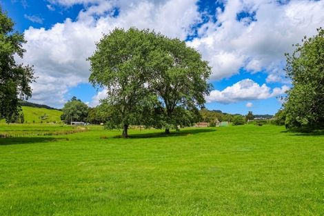 Photo of property in 299 Haruru Road, Kaukapakapa, 0873