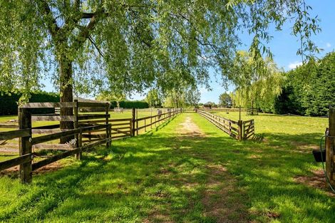 Photo of property in 179 Hautapu Road, Pukemoremore, Cambridge, 3493