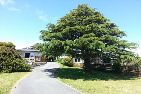 Photo of property in 16 Callender Terrace, Paraparaumu Beach, Paraparaumu, 5032