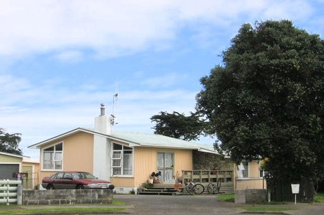 Photo of property in 3 Drake Street, Levin, 5510