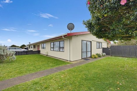 Photo of property in 133 Tiro Tiro Road, Levin, 5510