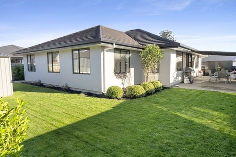 Photo of property in 17 Malone Crescent, Richmond, 7020