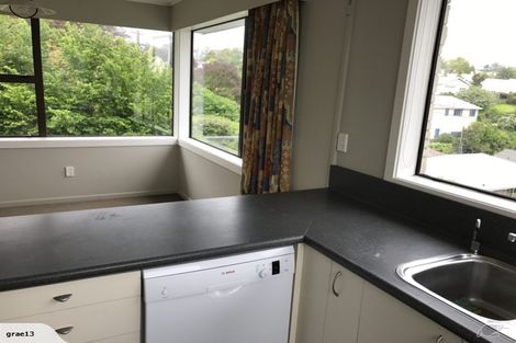 Photo of property in 17 Springhill Road, Mornington, Dunedin, 9011