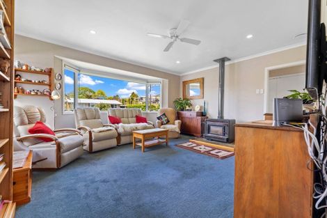 Photo of property in 34 Griffiths Street, Putaruru, 3411