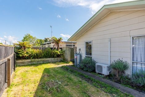 Photo of property in 179 Tiro Tiro Road, Levin, 5510