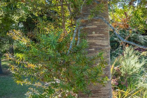 Photo of property in 30 Berghan Road, Coopers Beach, 0420