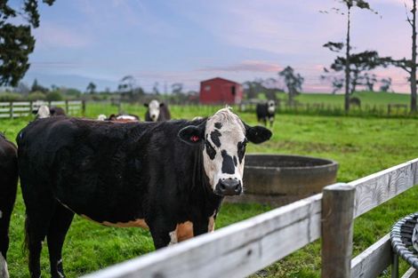 Photo of property in 101 Livingstone Road, Ngahinapouri, Hamilton, 3290